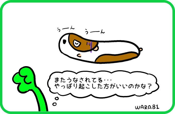 空豆のナゾ4