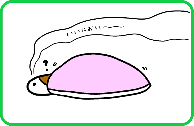 本当の音3