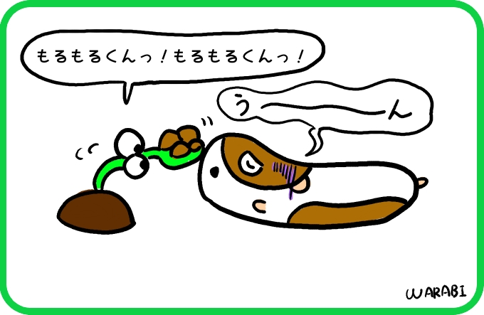 空豆悪夢4
