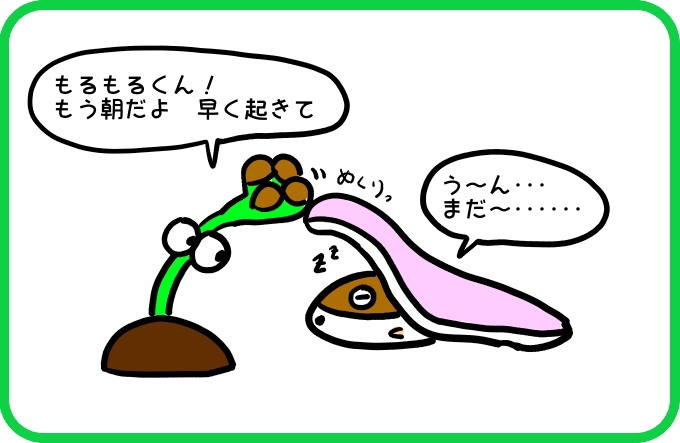 音だけ3