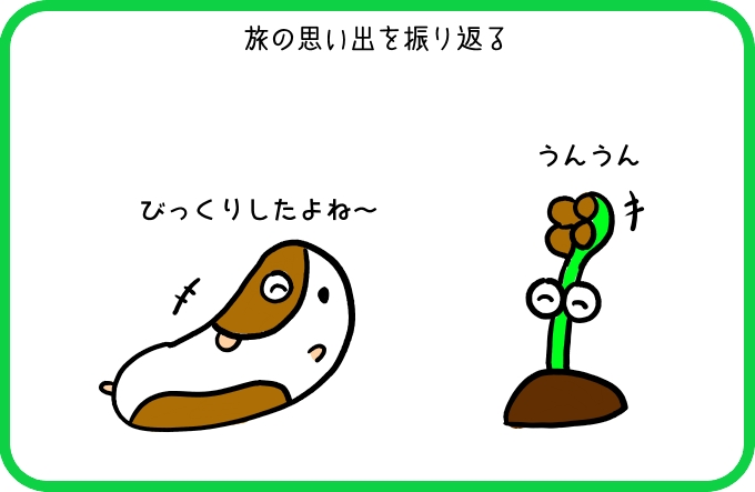 そういえば2