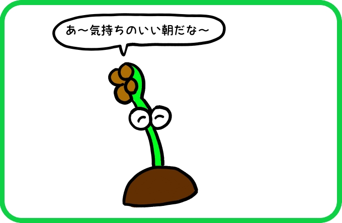 音だけ1