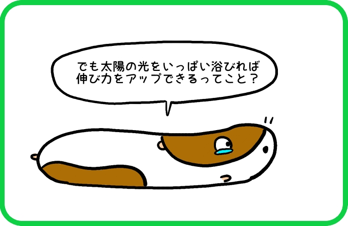 伸びを極めるには2