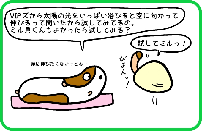 試してミルっ！3