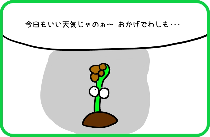 こっちも3