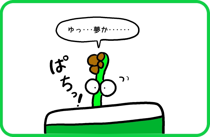 そうだといいけれど2