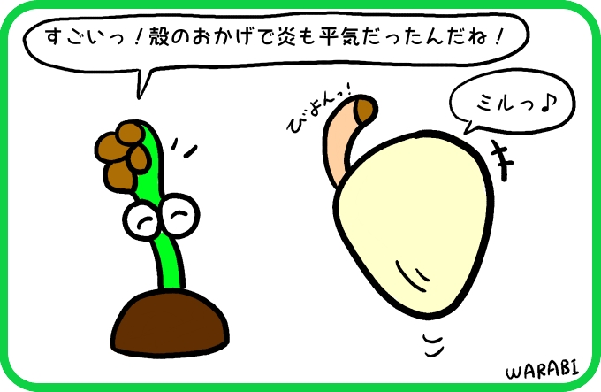 炎vsミル貝くん4