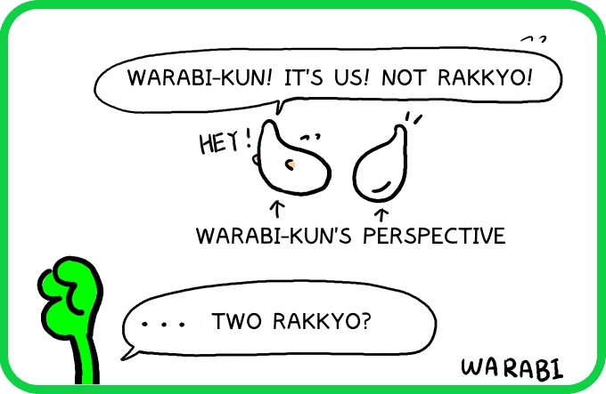 A rakkyo?4