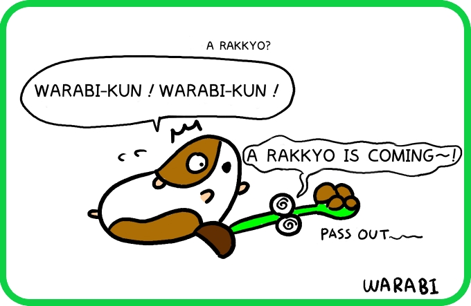 A rakkyo chasing Warabi-kun4
