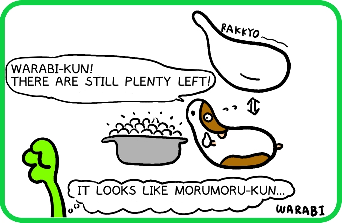 Making pickled radishes4