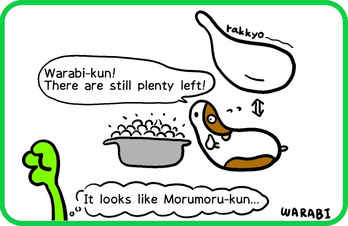 Making pickled radishes4