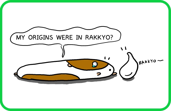 Morumoru-kun and Rakkyo 3