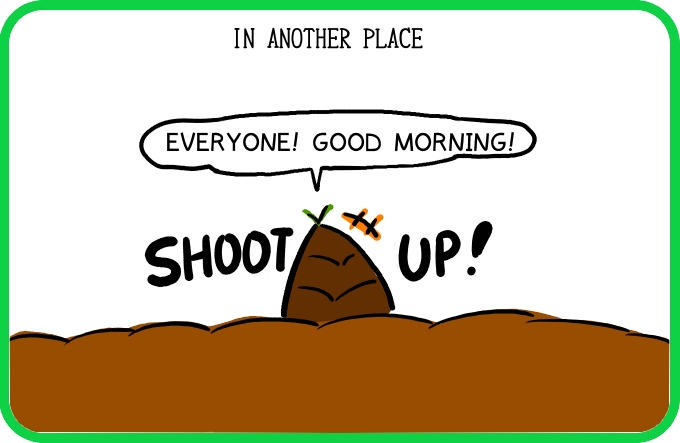 No participation in the meeting1