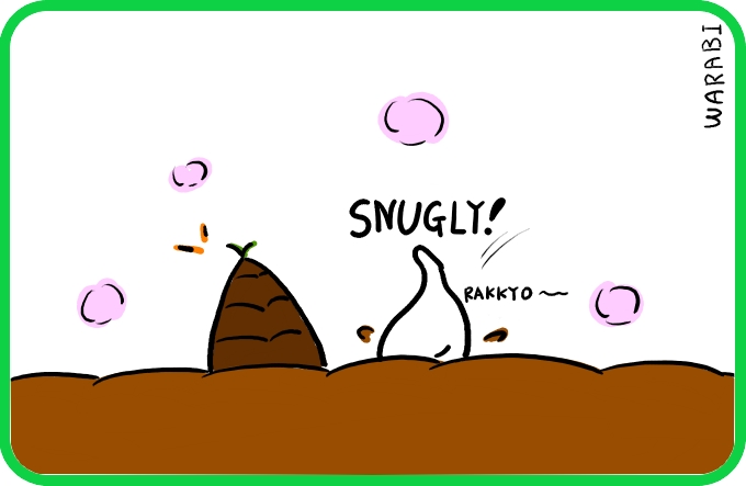 No participation in the meeting4