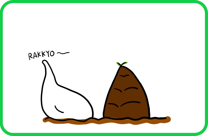 Something that is not a bamboo shoot (continued)2