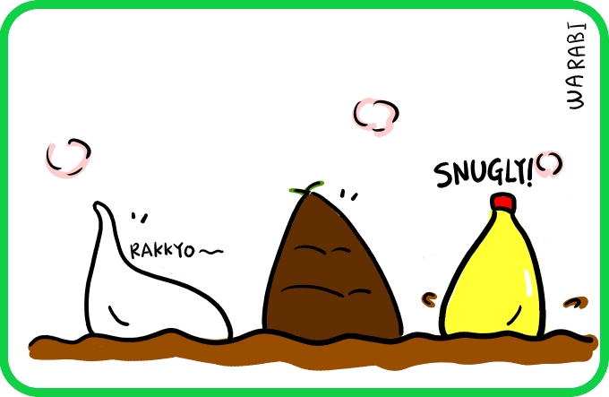 Something that is not a bamboo shoot (continued)4