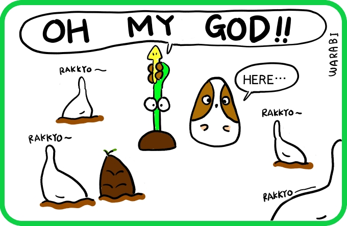 Something that isn't bamboo shoots4