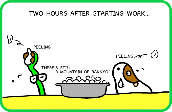 The illusion of rakkyo1