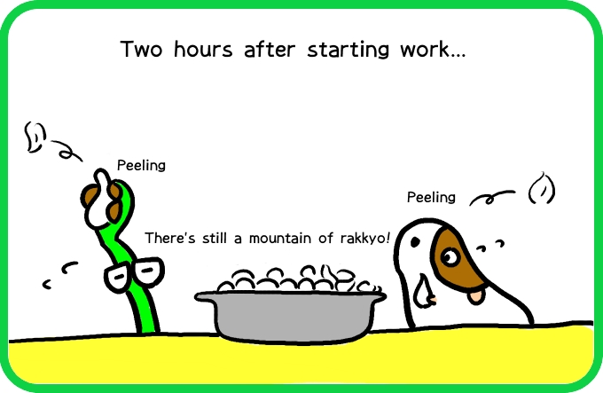 The illusion of rakkyo1