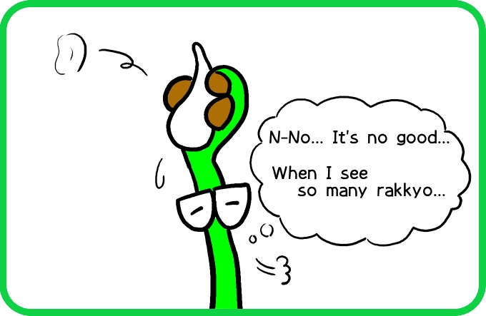 The illusion of rakkyo2