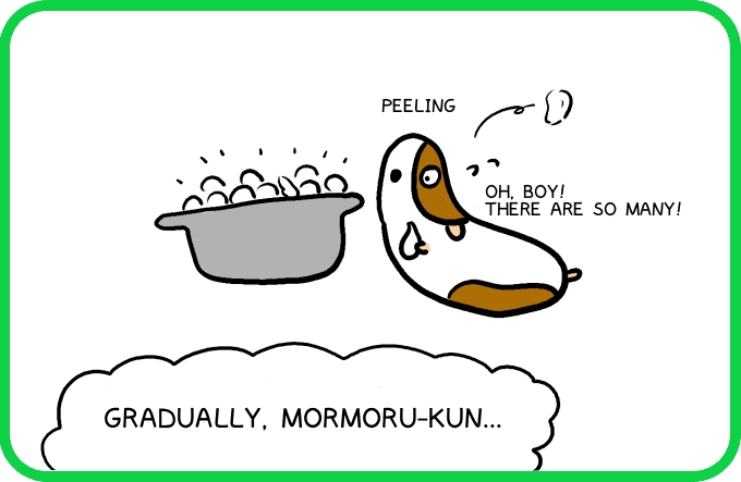 The illusion of rakkyo3