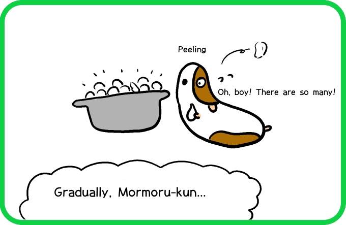 The illusion of rakkyo3