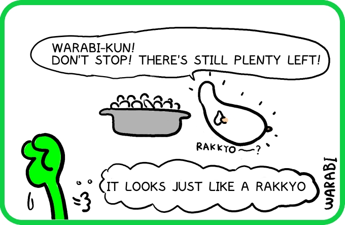 The illusion of rakkyo4