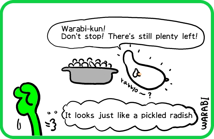 The illusion of rakkyo4