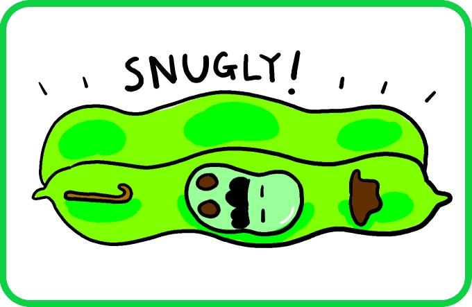 The way VIP-bean sleeps3