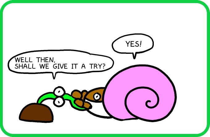 A shell that won't come off2