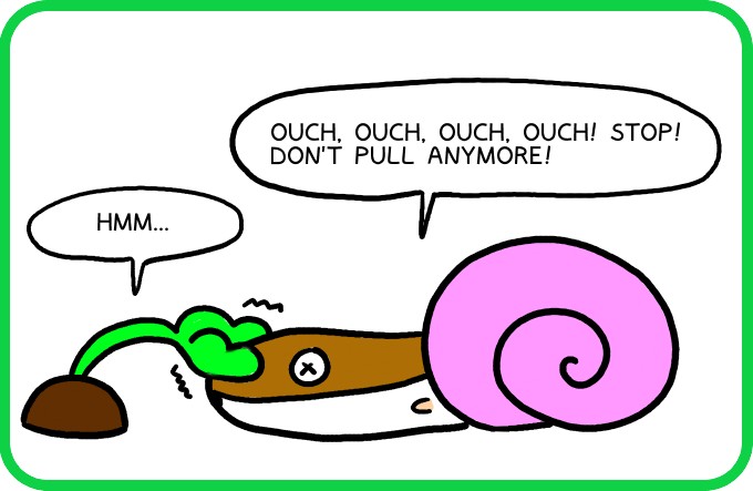 A shell that won't come off3