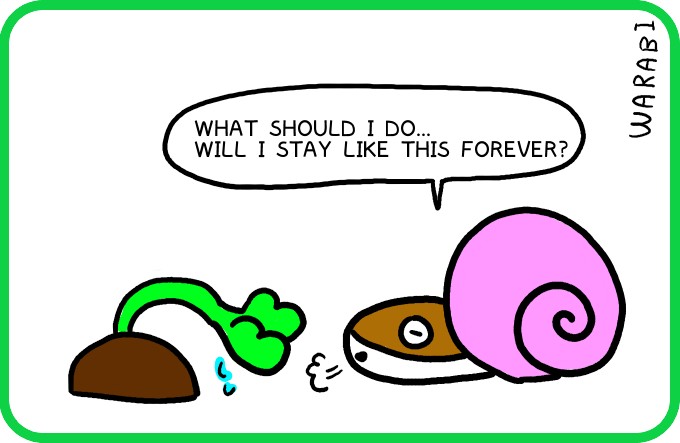 A shell that won't come off4