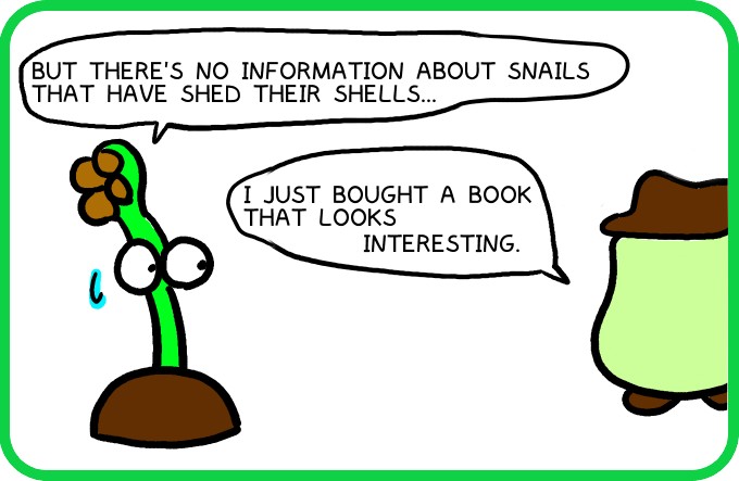 About snail shells2