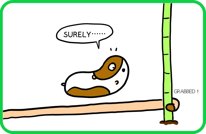 Follow the water pipe3