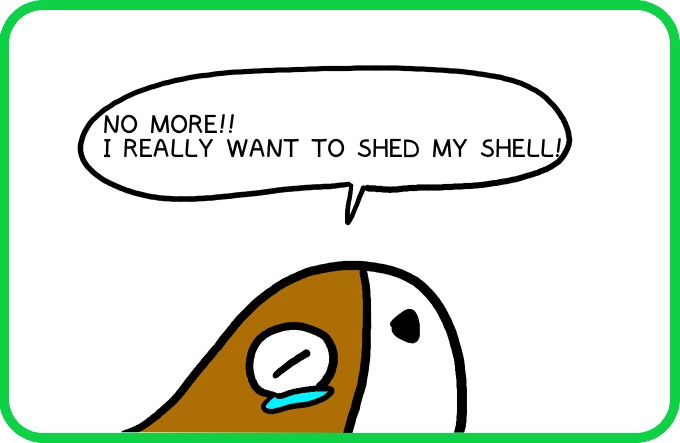 I want to shed my shell3