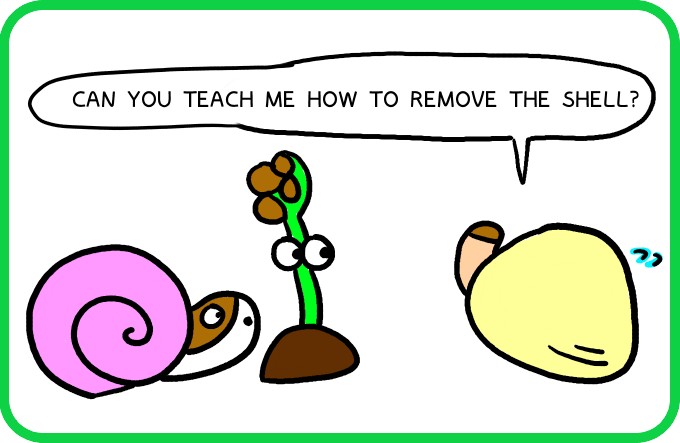 Regarding the shell3