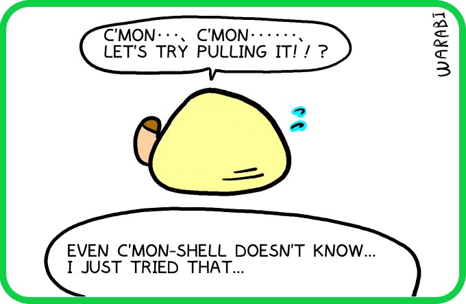 Regarding the shell4