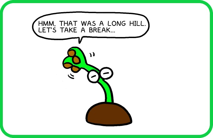 Rolling snail shell1