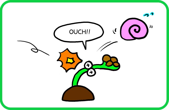 Rolling snail shell2