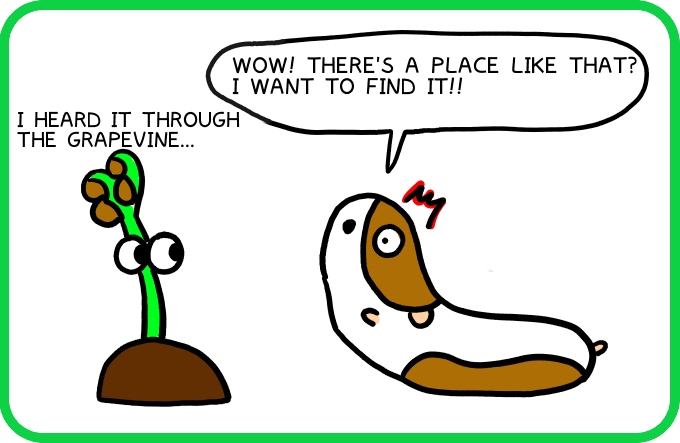 Rumored places you want to find2