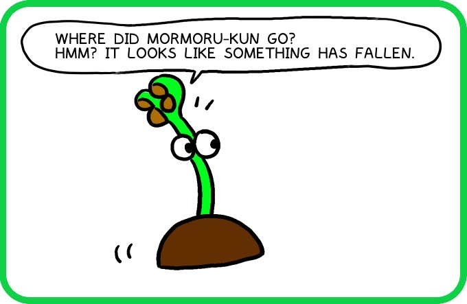 Shells following behind1