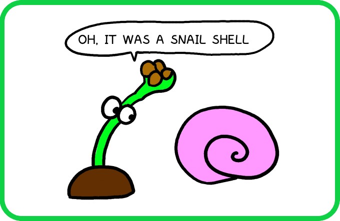 Shells following behind2