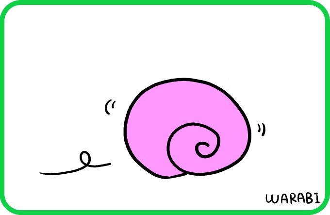 Shells following behind4