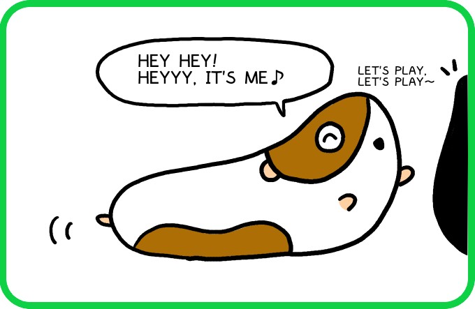 Similar appearances3