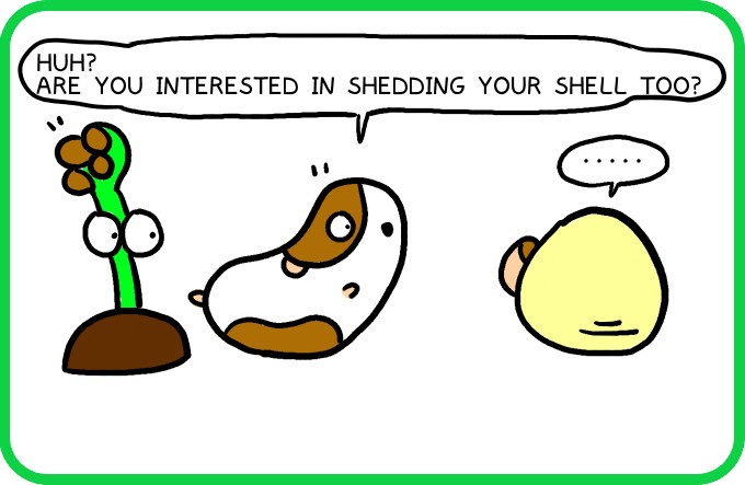 And C'mon-shell too 3