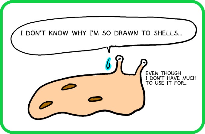 I'm attracted to it for some reason2