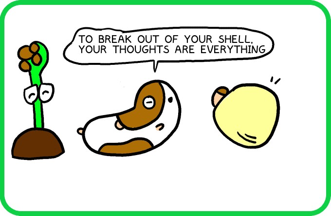 And C'mon-shell too?2