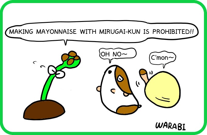 How to make mayonnaise 23