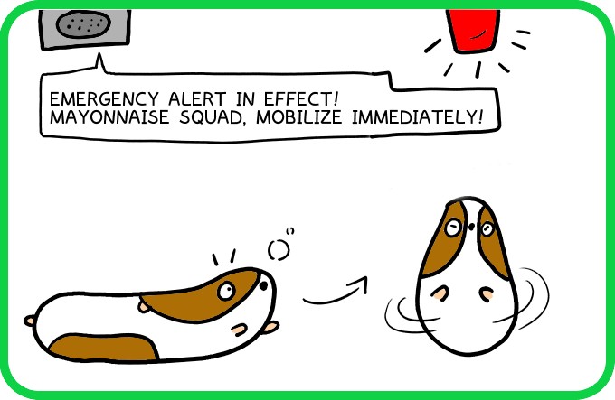 How to put out a fire21