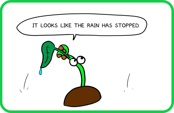 In the sky after the rain1